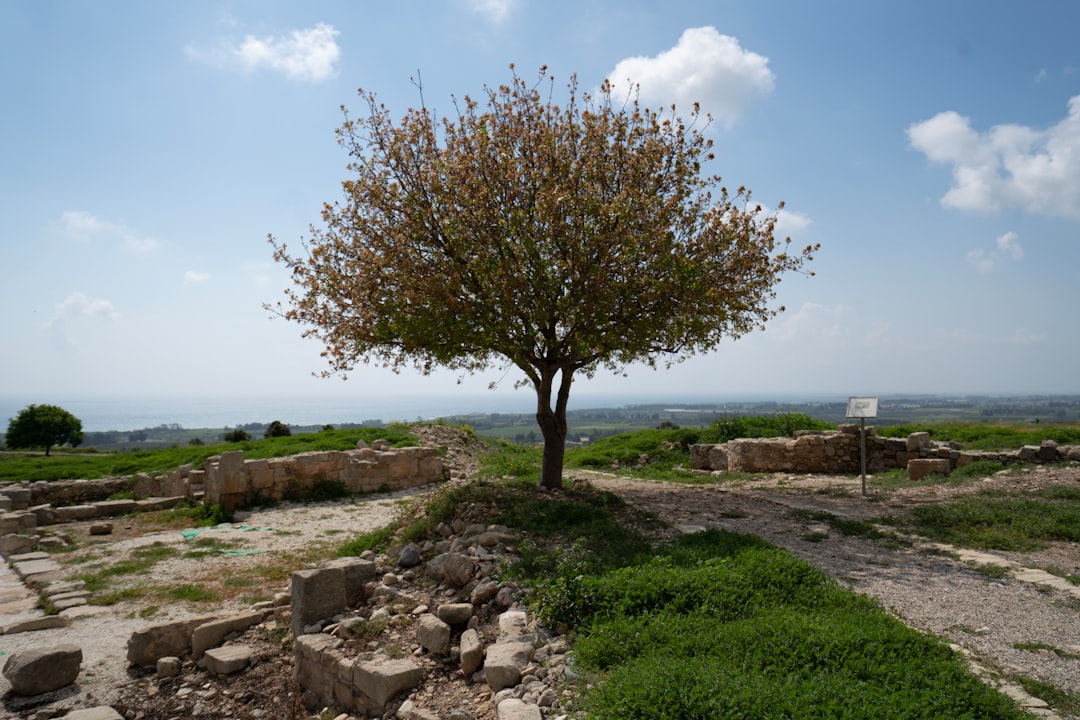 שי מזיג על פיתוח פרויקטי מגורים בפילה, אזור ההשקעות החם של לרנקה